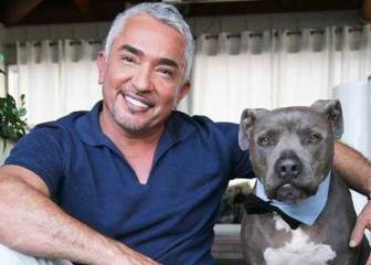 La dura historia como inmigrante de César Millán antes de ser 'El encantador de perros'