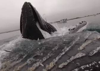 Este tipo grabó a una enorme ballena emergiendo al lado de su kayak