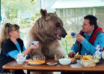23 años con un oso como mascota: así es la vida de esta pareja