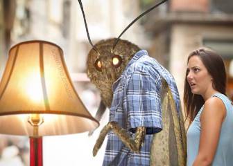 La polilla en busca de la lámpara se ha convertido en el meme más absurdo de Twitter