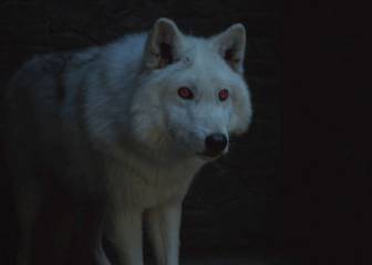 El lobo huargo de Jon Snow regresará en la octava temporada de Juego de Tronos