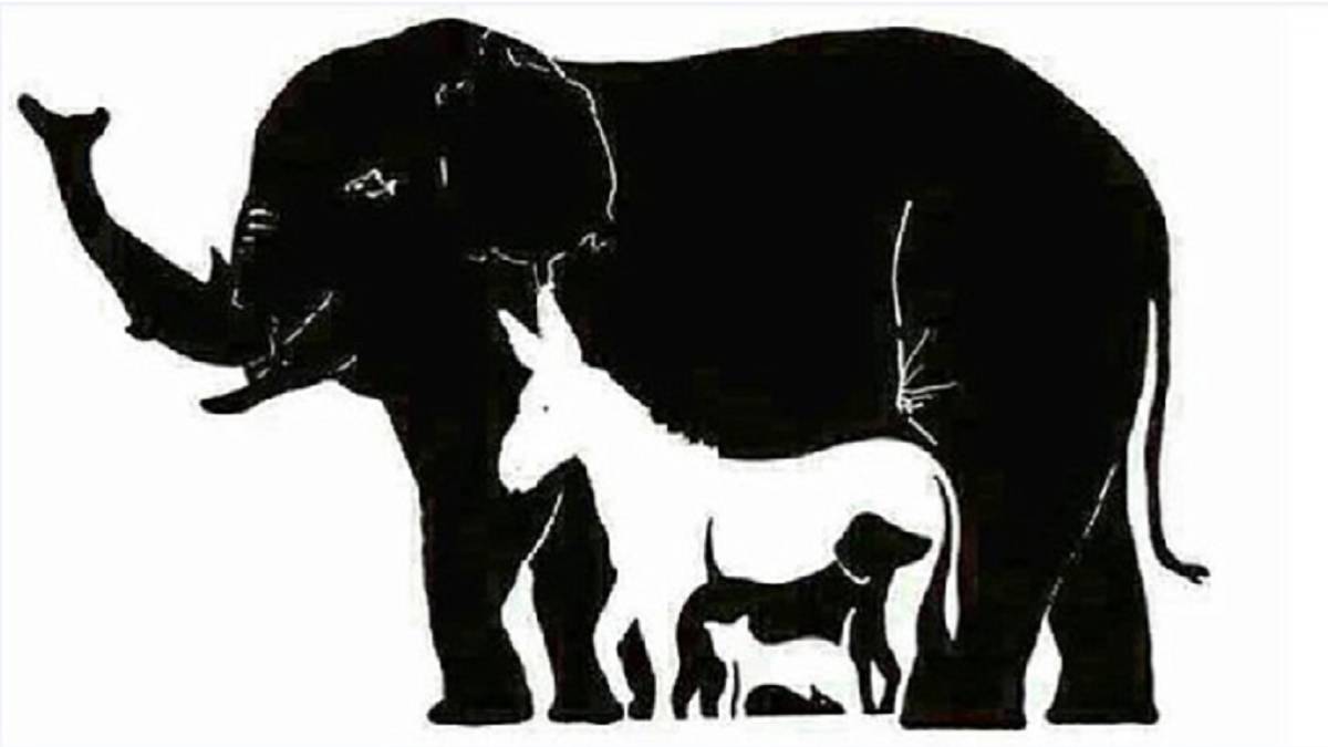 Cuántos animales distingues en esta imagen? Solo los más inteligentes verán  más de seis 