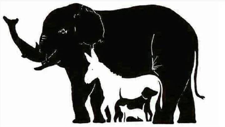 ¿Cuántos animales distingues en esta imagen? Solo los más inteligentes verán más de seis
