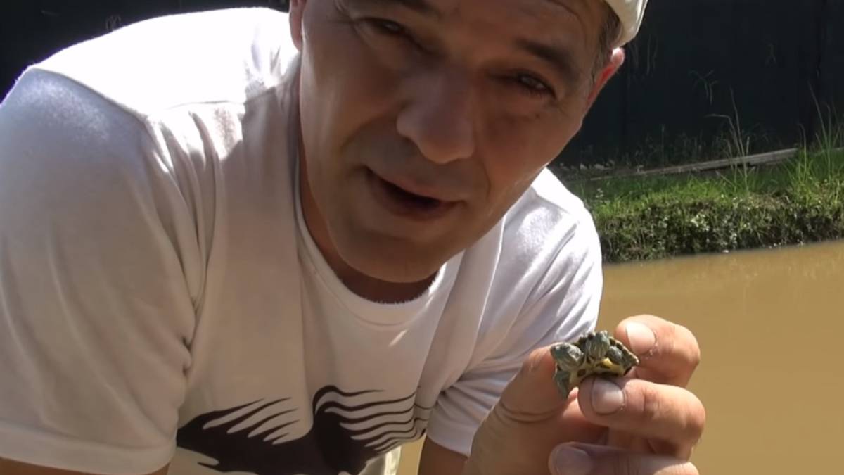 Frank Cuesta muestra el animal mÃ¡s extraÃ±o que ha visto nunca: una tortuga con dos cabezas