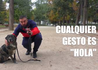 Este vídeo te recordará a ese amigo (o a ti mismo) presumiendo de perro