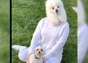 Una mujer se disfraza como su perro para Halloween