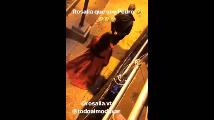 El saludo viral de Pedro Almodóvar a Rosalía con el que no podrás evitar reír