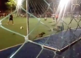 Este perro es la futura promesa de los guardametas