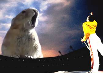 Este gracioso conejo "canta" al ritmo de Freddie Mercury