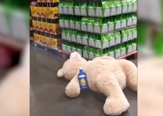 Estas son las consecuencias de una fiesta salvaje entre osos de peluche