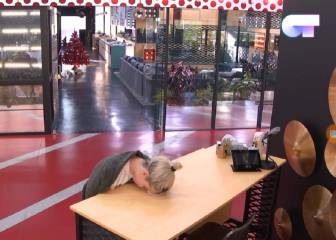 Los memes de los fans de OT 2018 sobre el último día del Canal 24 horas