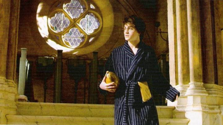 Los magos de Harry Potter pueden hacer sus necesidades en cualquier parte, según el canon