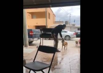 Pérez-Reverte estalla en Twitter ante un vídeo de un perro maltratado