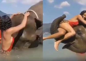 ¡Insólito final! Una mujer posa con un elefante y todo termina mal