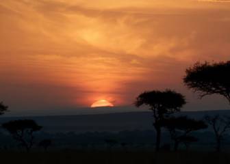 El nuevo tráiler de 'El Rey León' apunta a que volverás a llorar la muerte de Mufasa