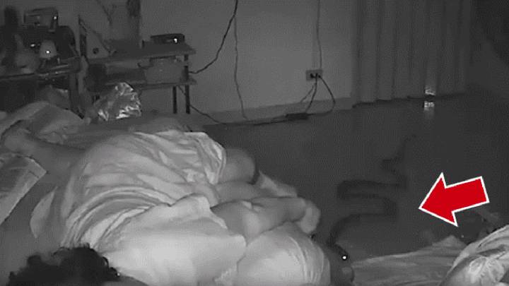 Una serpiente pitón muerde a una anciana mientras dormía