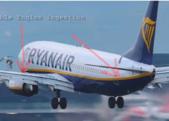 El momento en el que un avión de Ryanair impacta en Barcelona con una bandada de gaviotas