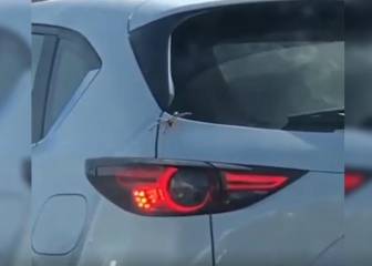Una araña se cuela en un coche y siembra el terror en las redes