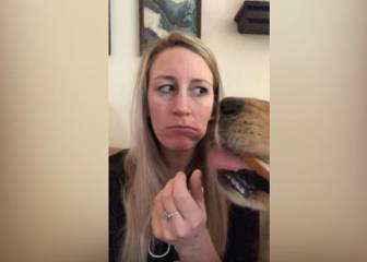 Esto es lo que ocurre cuando comes una hamburguesa frente a tu perro