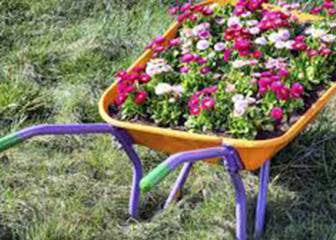 Una tuitera gallega revela para qué sirven los hierros de las carretillas