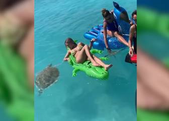 Esta chica se pone a jugar con una tortuga y termina siendo víctima de las burlas