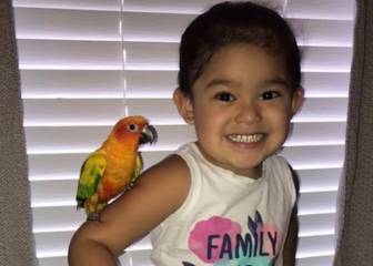 Una niña conquista Twitter al entrenar a su pájaro para atacar cuando ella quiera