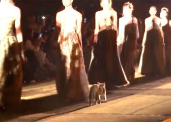 Un gato se cuela en la pasarela de Dior y orina sobre una espectadora