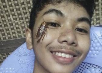 ‘Cockroach challenge’, el nuevo y repugnante reto viral que arrasa en redes