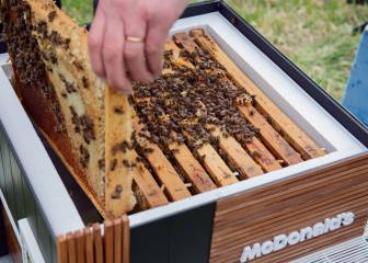 McDonald's abre su local más pequeño del mundo: un restaurante para abejas