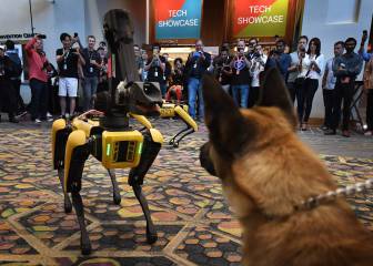 El robot-perro de Boston Dynamics que tanto nos asustaba se cae en su presentación