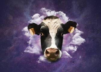 ‘Doctor Music Festival’ anuncia su cancelación por falta de público