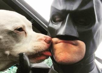 Este hombre vestido de Batman se dedica a rescatar perros de la eutanasia