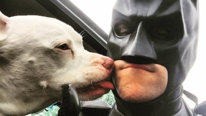 Este hombre vestido de Batman se dedica a rescatar perros de la eutanasia