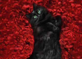 Las míticas escenas del cine de Hollywood, recreadas de la manera más cómica