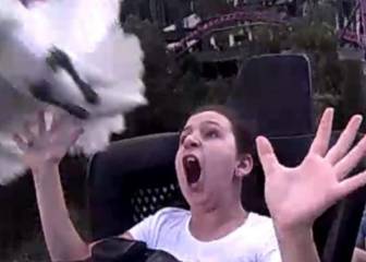 Un pájaro impacta contra una mujer en una montaña rusa