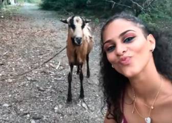 Una joven intenta hacerse un selfie con una cabra.. ¡Y su reacción no tiene precio!