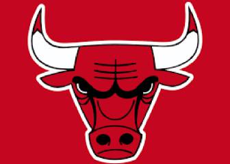 ¿Qué pasa si le das la vuelta al escudo de los Chicago Bulls?