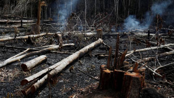 Famosos muestran su indignación ante los incendios en el Amazonas