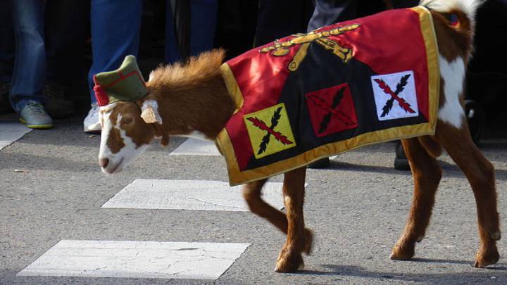 ¿Por qué es la cabra la mascota de la Legión en los desfiles militares?