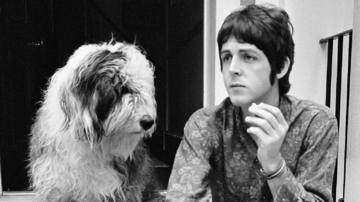Paul McCartney relanza uno de sus clásicos para frenar la experimentación animal