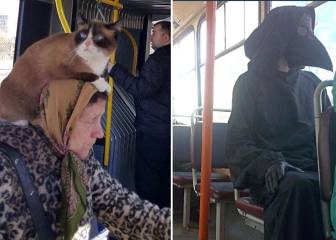 Esta cuenta recopila los extraños fenómenos que se ven en el autobús