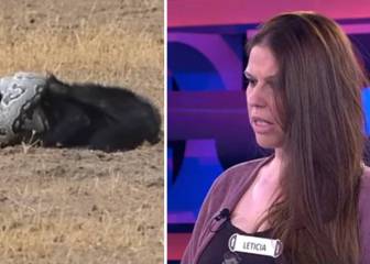 Lo más visto en redes: una batalla animal y el error sobre el Atleti en ‘¡Ahora caigo!’