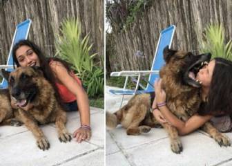 Una chica se hace una sesión de fotos con un pastor alemán y acaba mordida por el perro