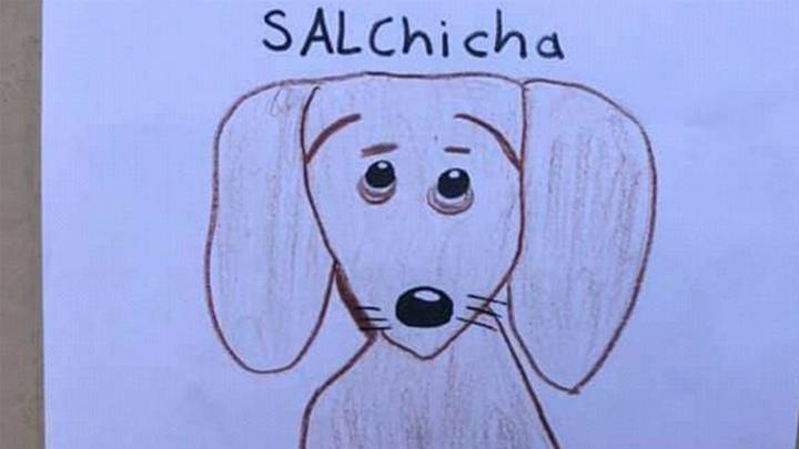 Un niño busca a su mascota con este dibujo hecho por él mismo porque no tiene fotos