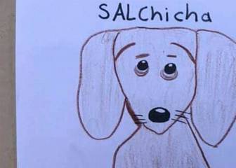 Un niño busca a su mascota con este dibujo hecho por él mismo porque no tiene fotos