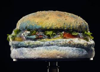 ¿Te comerías esta hamburguesa con moho? Burger King se sale de la tónica con su último spot
