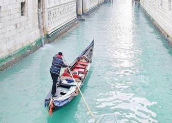 El agua de los canales de Venecia se limpia y vuelve la fauna a causa del COVID-19