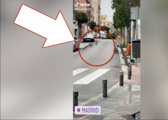 ¡Animales en pleno Madrid! consecuencias de la cuarentena