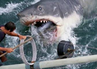 45 años de 'Tiburón': las redes recuerdan el trauma que les generó Spielberg