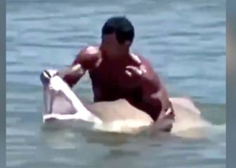 Un bañista atrapa a un tiburón en una costa de EE.UU